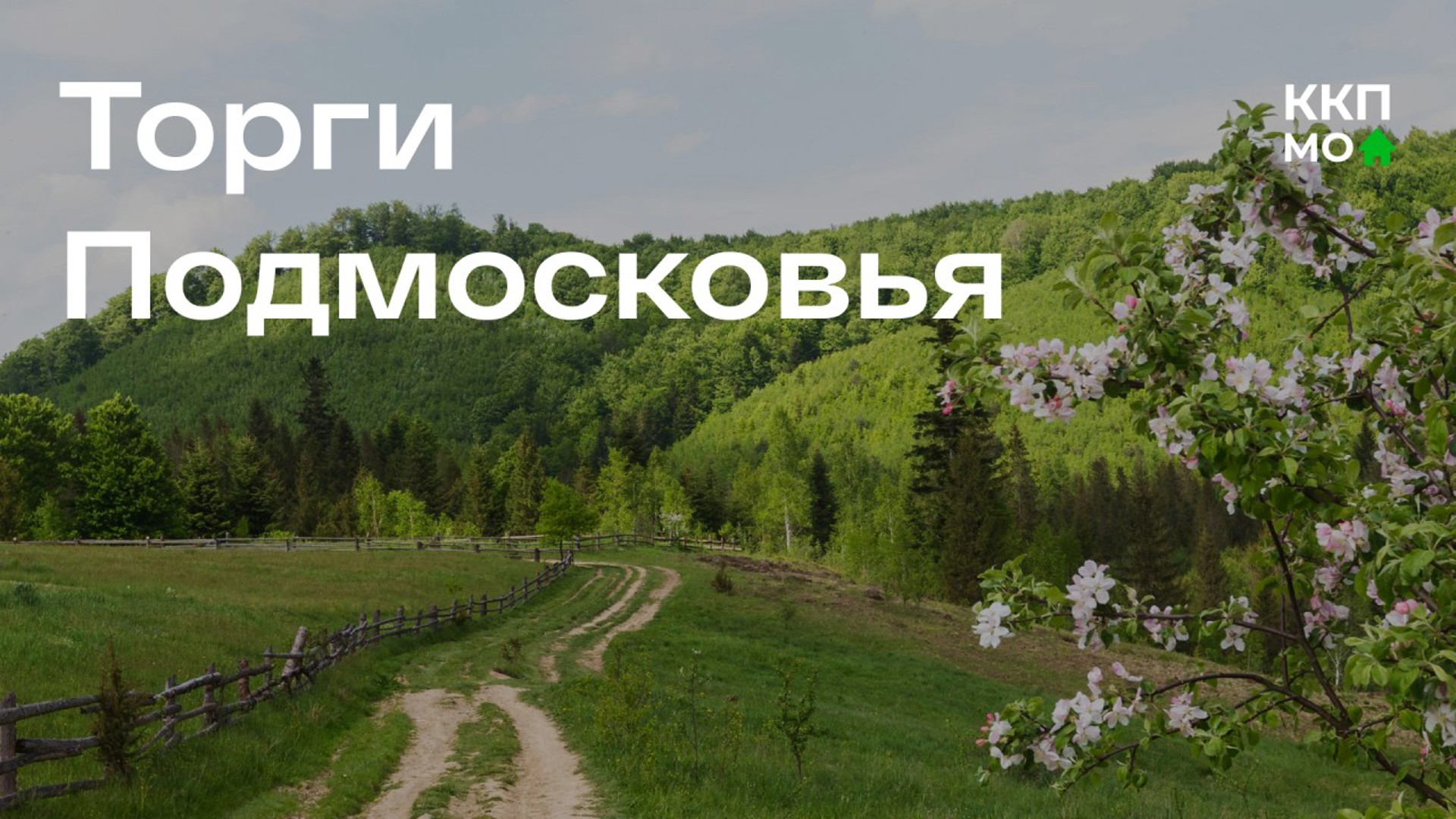 Новость