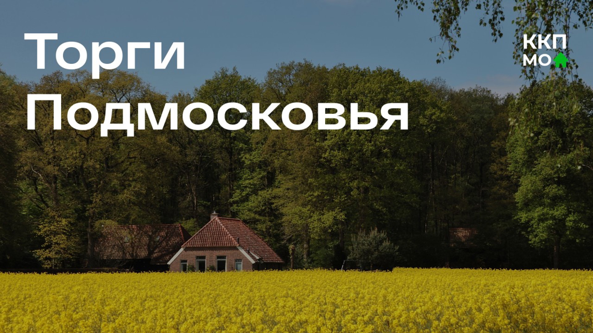 Новость